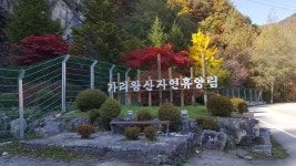 산림청 국립가리왕산자연휴양림 - |