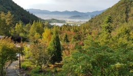 산림청 국립낙안민속자연휴양림 - 숲갤러리 |