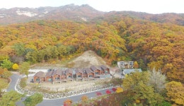 산림청 국립운악산자연휴양림 - |