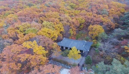 산림청 국립운악산자연휴양림 - |