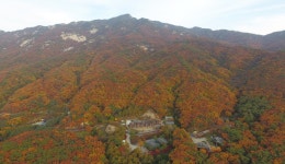 산림청 국립운악산자연휴양림 - |