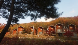 산림청 국립운악산자연휴양림 - |