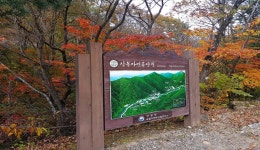산림청 국립삼봉자연휴양림 - |