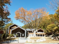 산림청 국립유명산자연휴양림 - |