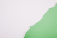 Arrange of green on white  Photo | Free Download