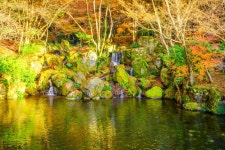 Autumn forest with river  Photo | Free Download