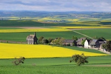 Field eifel minkel landscape oilseed rape  Photo | Free Download