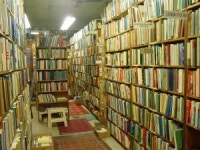 Lots of Books  Photo | Free Download