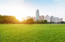 Park next to the city at dawn  Photo | Free Download