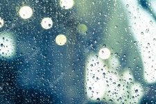 Rain drops on the window  Photo | Free Download