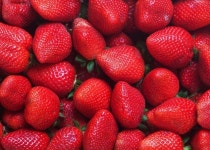 Strawberries  Photo | Free Download
