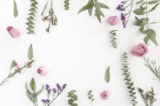 Surface with flowers and blank space  Photo | Free Download