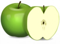 Apple full and cutted  Vector | Free Download