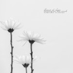 국화꽃 향기 바람에 날리면 / 이름없는 꽃 - genie