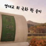 영대교 위 국화 한 송이 / JB Kim - genie