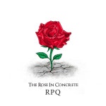 콘크리트 위에 핀 장미 / RPQ - genie