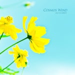 Cosmos Wind / 고은빛 - genie