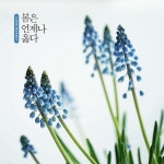 봄은 언제나 옳다 / 러브래빗 (Love Rabbit) - genie
