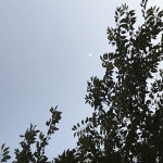 지니 : 음악, 그리고 설레임