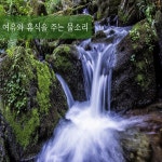 여유와 휴식을 주는 물소리 (백색소음, 알파파, ASMR, 현장 녹음, 힐링, 명상) / 백색소음치료 - genie