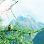 명상의 시간, 심리안정을 위한 마음안정 숙면테라피 클래식 피아노자장가 10 / 심신의 휴식 - genie