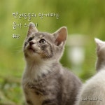 반려동물과 함께하는 음악 스케치 Vol. 2 / 이지힐링 - genie