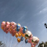 Marry Me, Marry You (Feat. 조현영 of 레인보우) / 김정훈 - genie