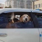 Perfect Strangers / J.Fla - genie