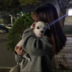 너에게 / 유재도 - genie