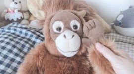 별빛 / 돕덕 (DopeDoug) - genie