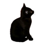 한강 / OuiOui (위위) - genie