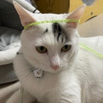 꽃길만 걷게 해줄게 / 데이브레이크 (Daybreak) - genie