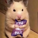 Wego Wego (킬러 배드로 X Xdinary Heroes) / Xdinary Heroes - genie