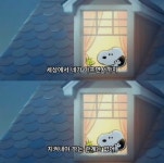 음ego엔터테인먼트 - genie