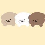 지니 : 음악, 그리고 설레임