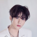 아이엔 (Stray Kids) - genie