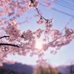 지니 : 음악, 그리고 설레임