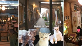 경주 한옥 신달하우스