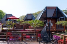 용인 세모난나무, 용인·여주·이천, 경기/인천 - 여기어때 특가