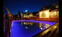 강릉 정동진풀빛향기애견펜션, 강릉 (경포.안목해변), 강원 - 여기어때 특가