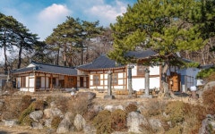 고성 스테이돌담집, 속초·고성, 그 외 지역 - 여기어때 특가