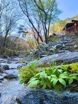 포천 산중호걸글램핑카라반, 경기/인천권 - 여기어때 특가