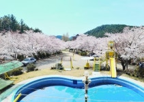 포항 포항 칠포그린로즈, 경상/부산 - 여기어때 특가