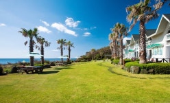 서귀포시  검색 결과 - 여행할때 여기어때