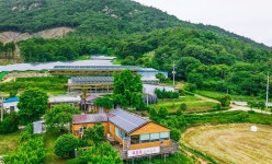 ‘전남 강진군’ 숙소, 호텔, 펜션 특가 예약 - 여행할때 여기어때