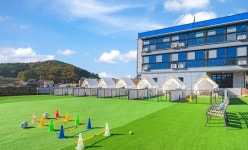 ‘경남 남해’ 숙소, 호텔, 펜션 특가 예약 - 여행할때 여기어때