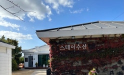 제주도 숙소 검색 결과 - 여행할때 여기어때