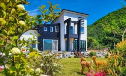 강원 숙소 검색 결과 - 여행할때 여기어때