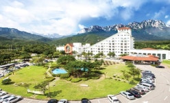 ‘강원’ 숙소, 호텔, 펜션 특가 예약 - 여행할때 여기어때