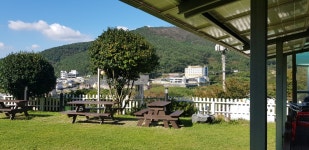 거제도 좋은데 애견펜션 | 여기어때